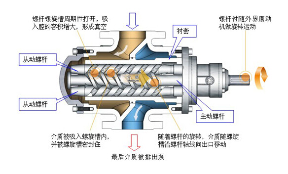 螺桿式真空泵的抽氣原理圖