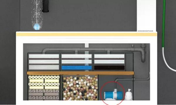 魚缸水泵保養(yǎng)